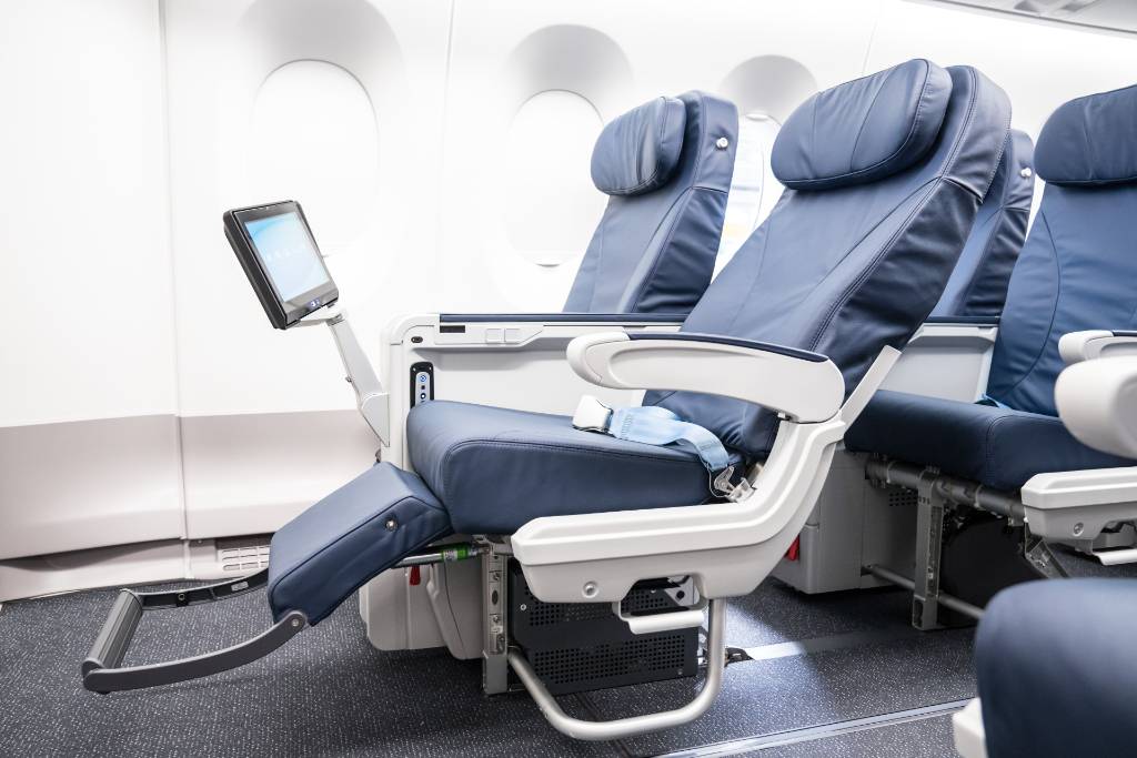 The Complete Guide to Flying French bee